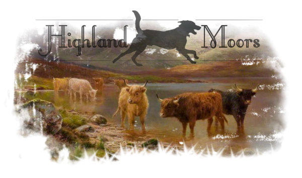 Highland Moors 3_zpsvkzeucvu.png